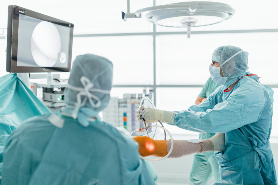 Orthopaedics & Musculoskeletal  Health